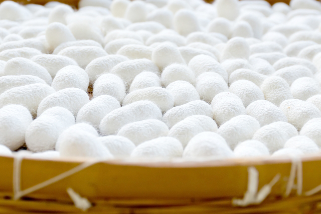 八王子はかつて養蚕が盛んで桑畑が広がっていたため「桑都」と称され、織物のまちとして発展してきた。